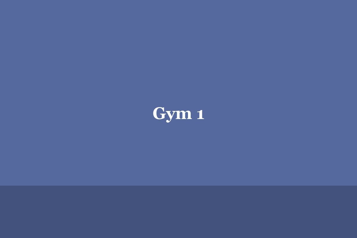 Gym 1