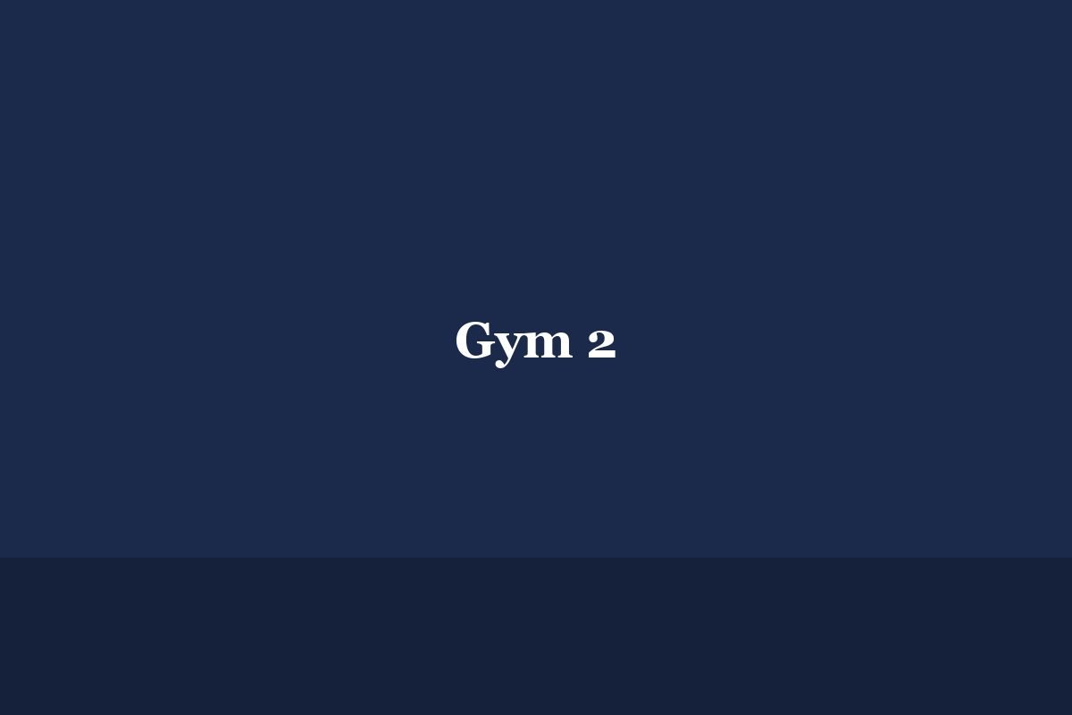 Gym 2