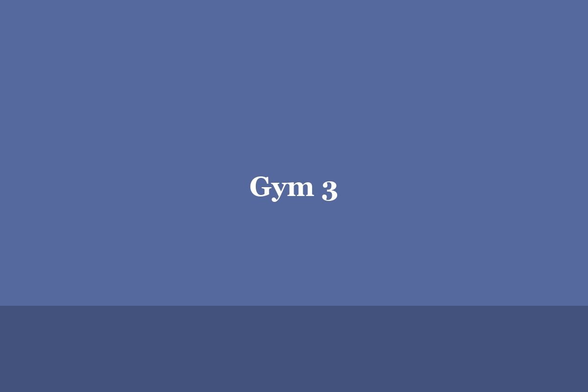 Gym 3