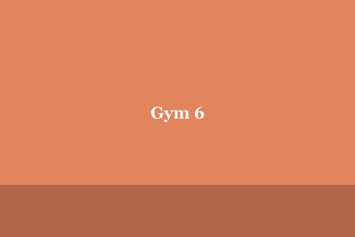 Gym 6